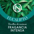 Eucalipto