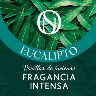 Eucalipto