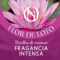Flor de Loto
