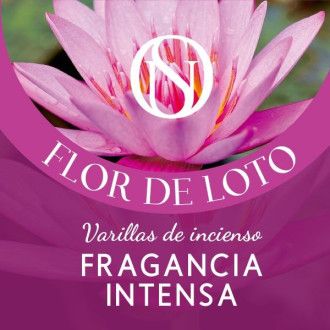Flor de Loto