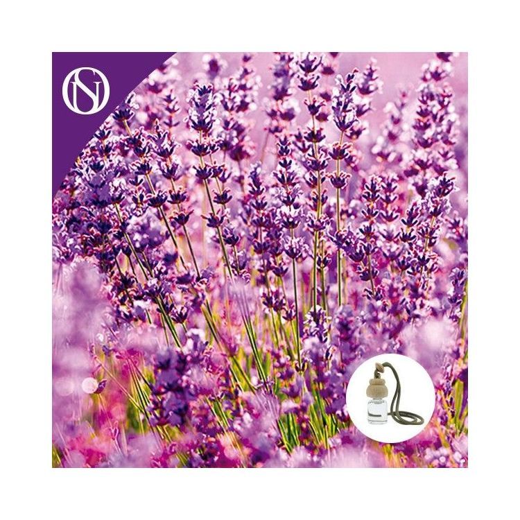 Ambientador de coche Lavanda