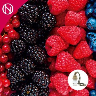 Recarga ambientador coche Frutos Rojos