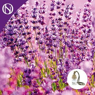 Recarga ambientador coche Lavanda