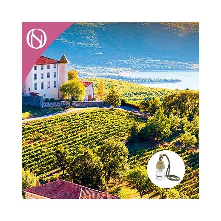 Ambientador de coche Aires de Provenza