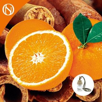 Ambientador de coche Canela y Naranja