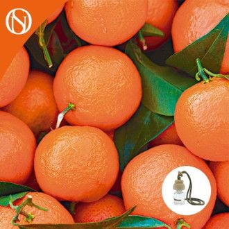 Recarga ambientador coche Mandarina