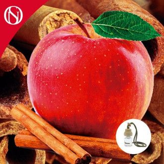 Recarga ambientador coche Canela y Manzana