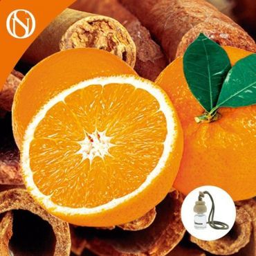 Recarga ambientador coche Canela y Naranja