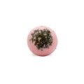 Bath Creamer Frambuesas (24ud)