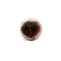 Bath Creamer Chocolate (24ud)
