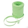 Rollo de Raphia Verde Menta
