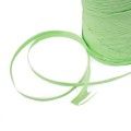 Rollo de Raphia Verde Menta