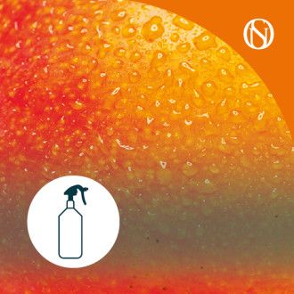 Ambientador pulverizador spray Mango