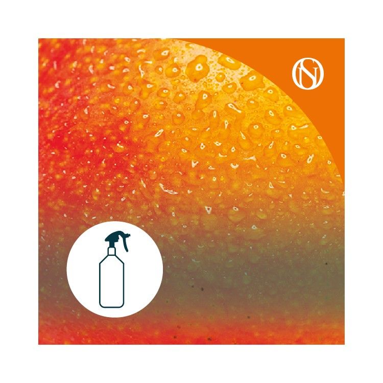 Ambientador pulverizador spray Mango