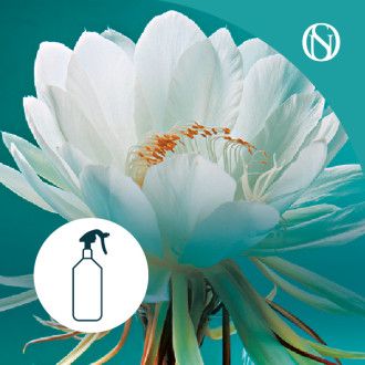 Ambientador pulverizador spray Dama de Noche