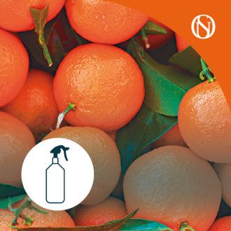 Ambientador pulverizador spray Mandarina