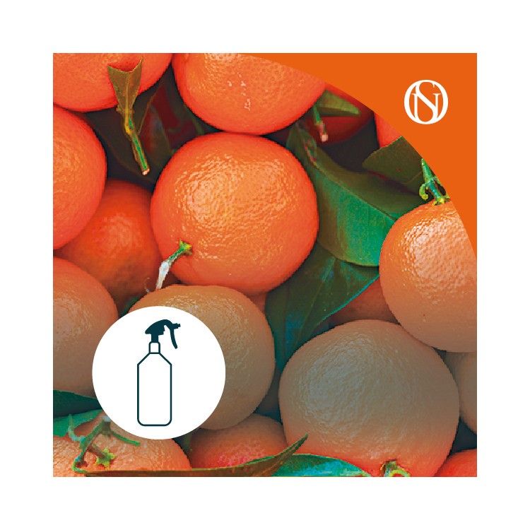 Ambientador pulverizador spray Mandarina
