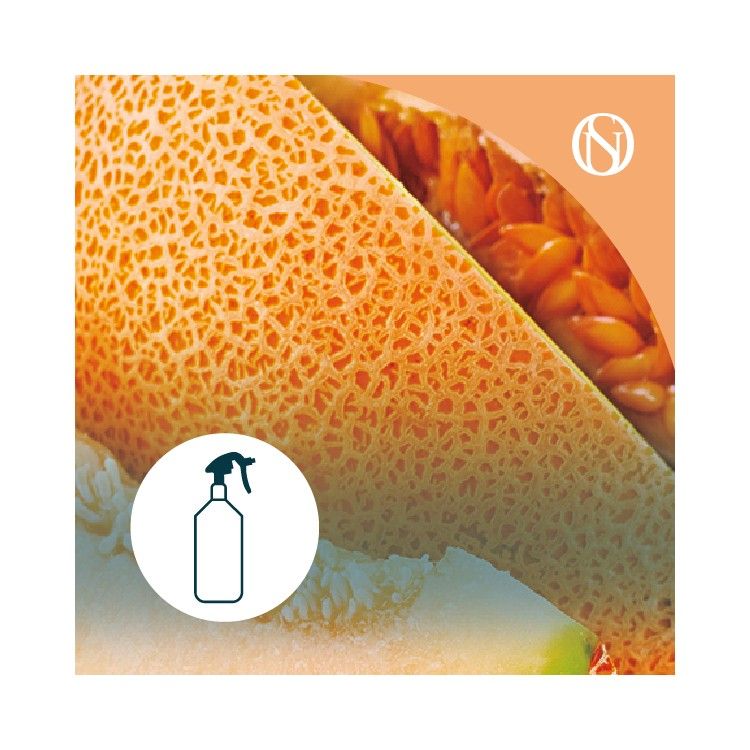 Ambientador pulverizador spray Melón