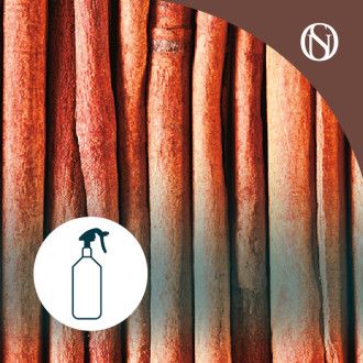Ambientador pulverizador spray Canela