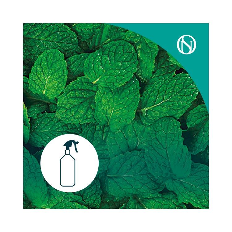 Ambientador pulverizador spray Menta