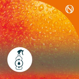Recarga ambientador spray Mango