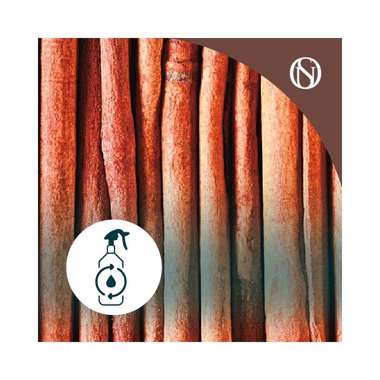 Recarga ambientador spray Canela
