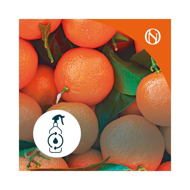 Recarga ambientador spray Mandarina