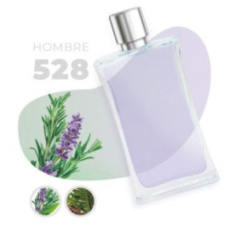 528 - Aromática Fougère
