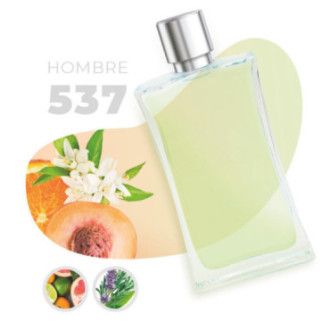 537 - Cítrica Aromática