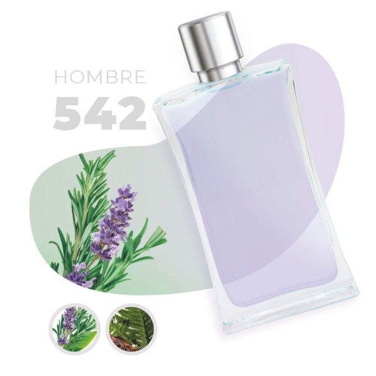 542 - Aromática Fougère