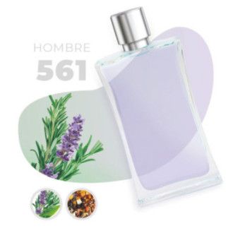 561 - Aromática Especiada