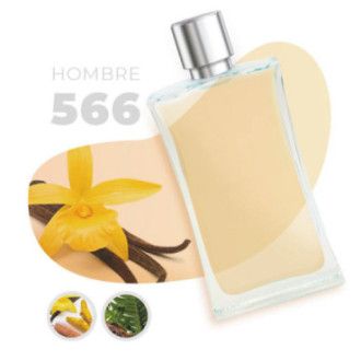 566 - Ámbar Fougère
