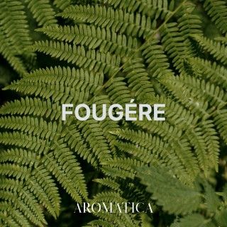 Fougére